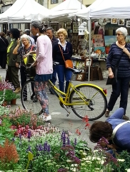 Italy, Turin, temporary flower market